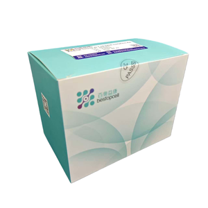 Hochreines Genomisches DNA-Extraktionskit für Tiergewebe & -zellen - Product Image 3