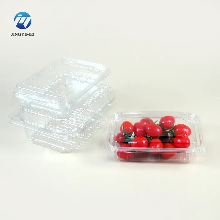 Ausrüstung zur Herstellung von Plastik-Kartons für Gemüse und Obst Hersteller Catering-Lieferung