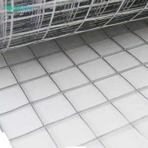 Wholesale Good Price Welded <strong>Wire</strong> <strong>Mesh</strong> 25x25mm - Product Image 5