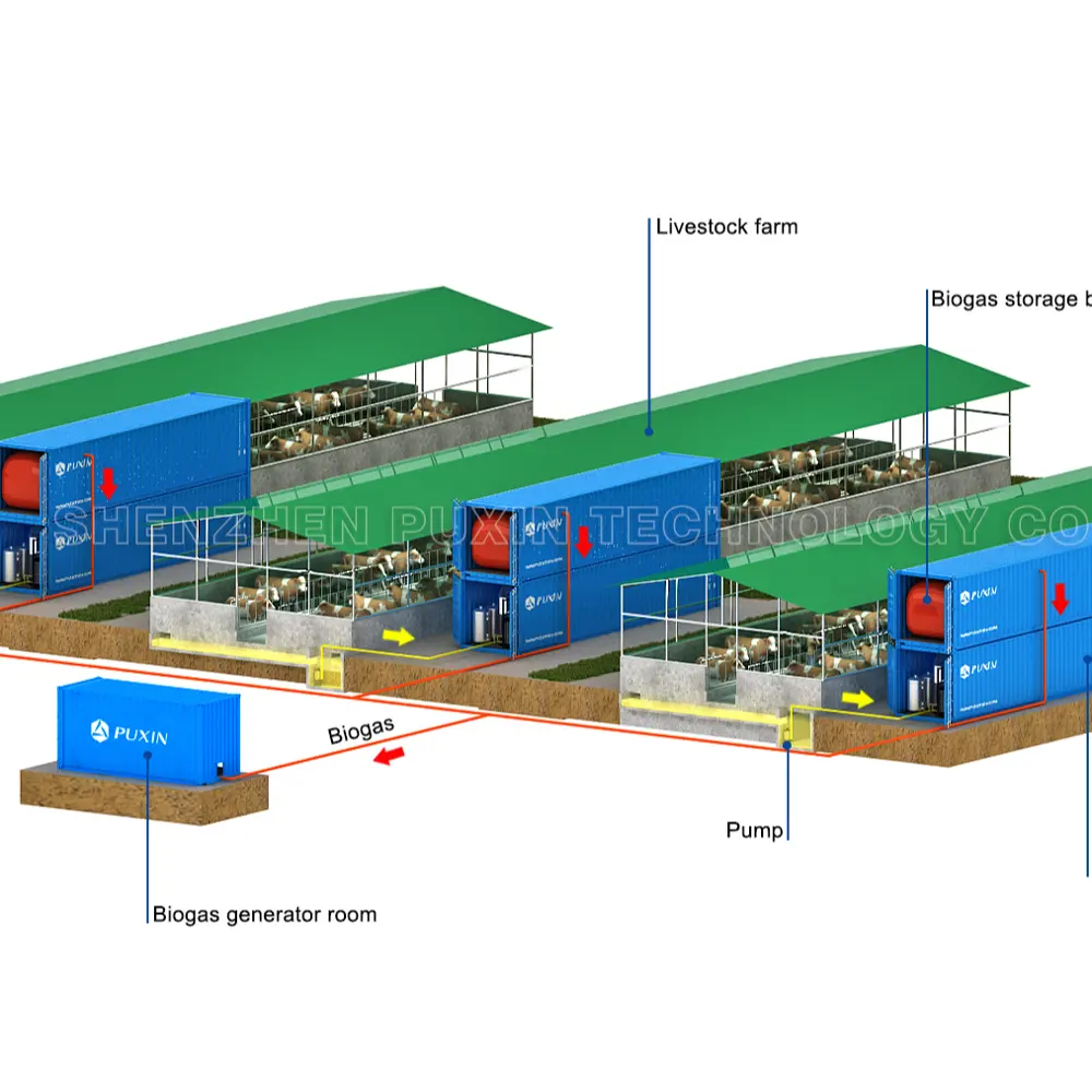 Trasferimento Bestiame Farm Rifiuti in Energia e di Energia Elettrica Puxin 20FT Containerized Biogas Impianto di Potenza Stazione di Biogaz