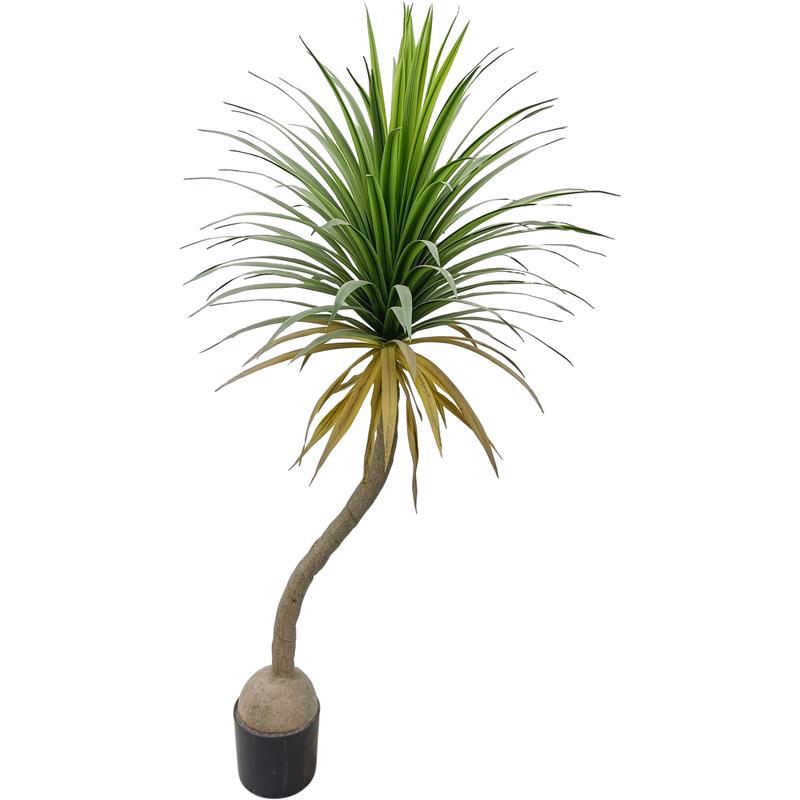 Orchidea a forma di bottiglia di vino verde, altezza 145 cm.