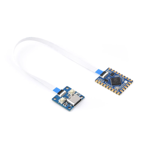 Rprpsıfır ahududu PI PICO tipi C portu ile yeni orijinal RP2040-Tiny modül geliştirme kurulu