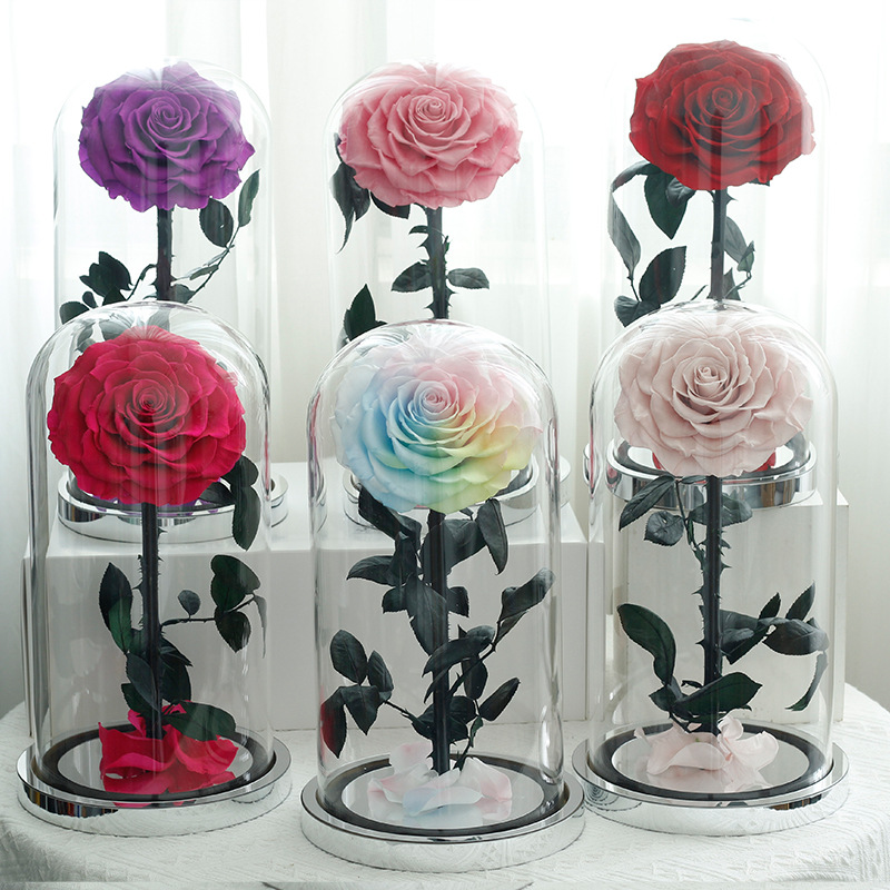 Le miroir de tout cœur 18*32cm