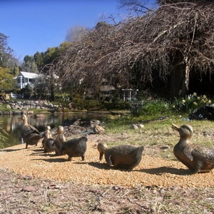 Trang Trí Sân Vườn Kim Loại Vịt Tượng Đồng Mẹ Và Con Vịt Điêu Khắc - Product Image 2