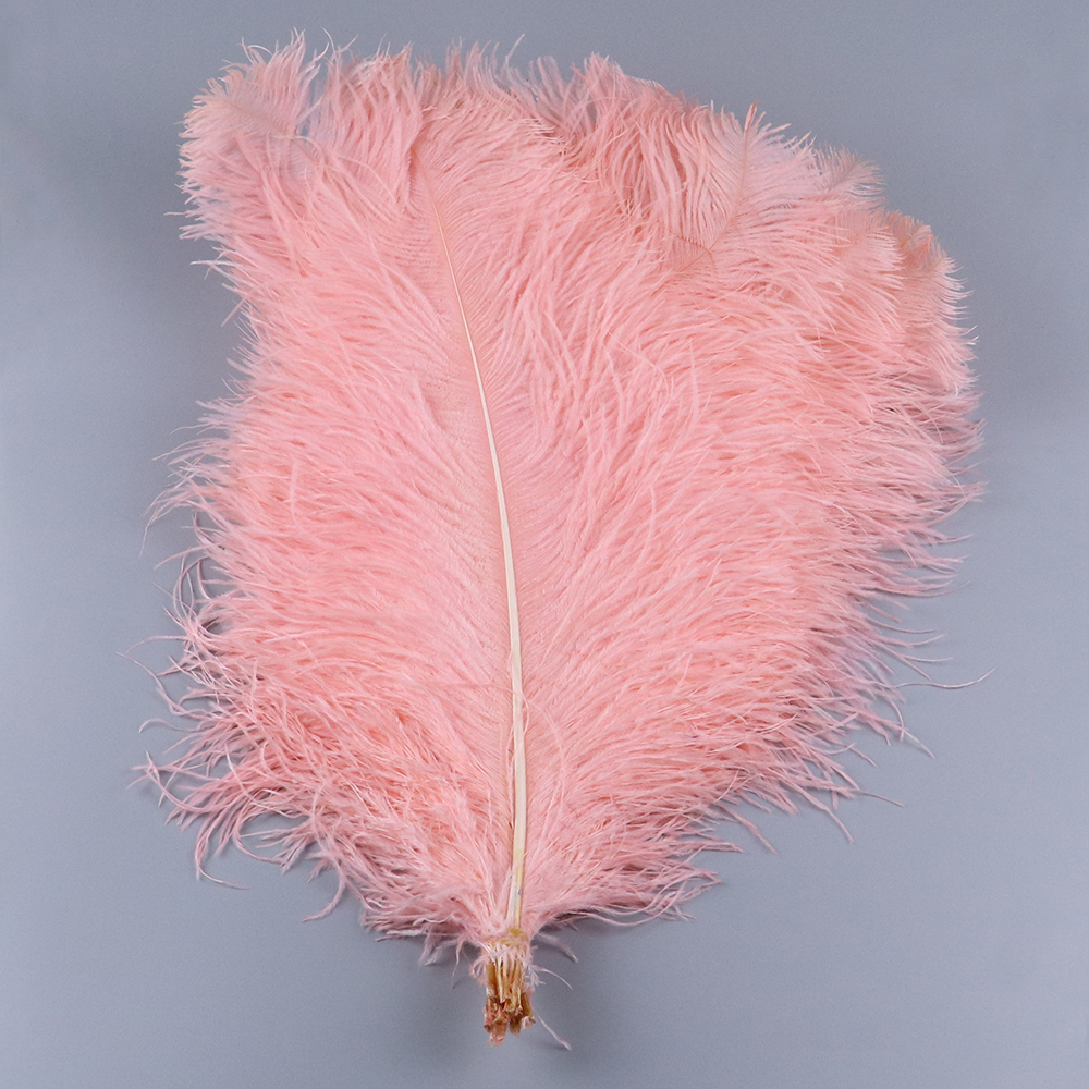 Crevettes rose