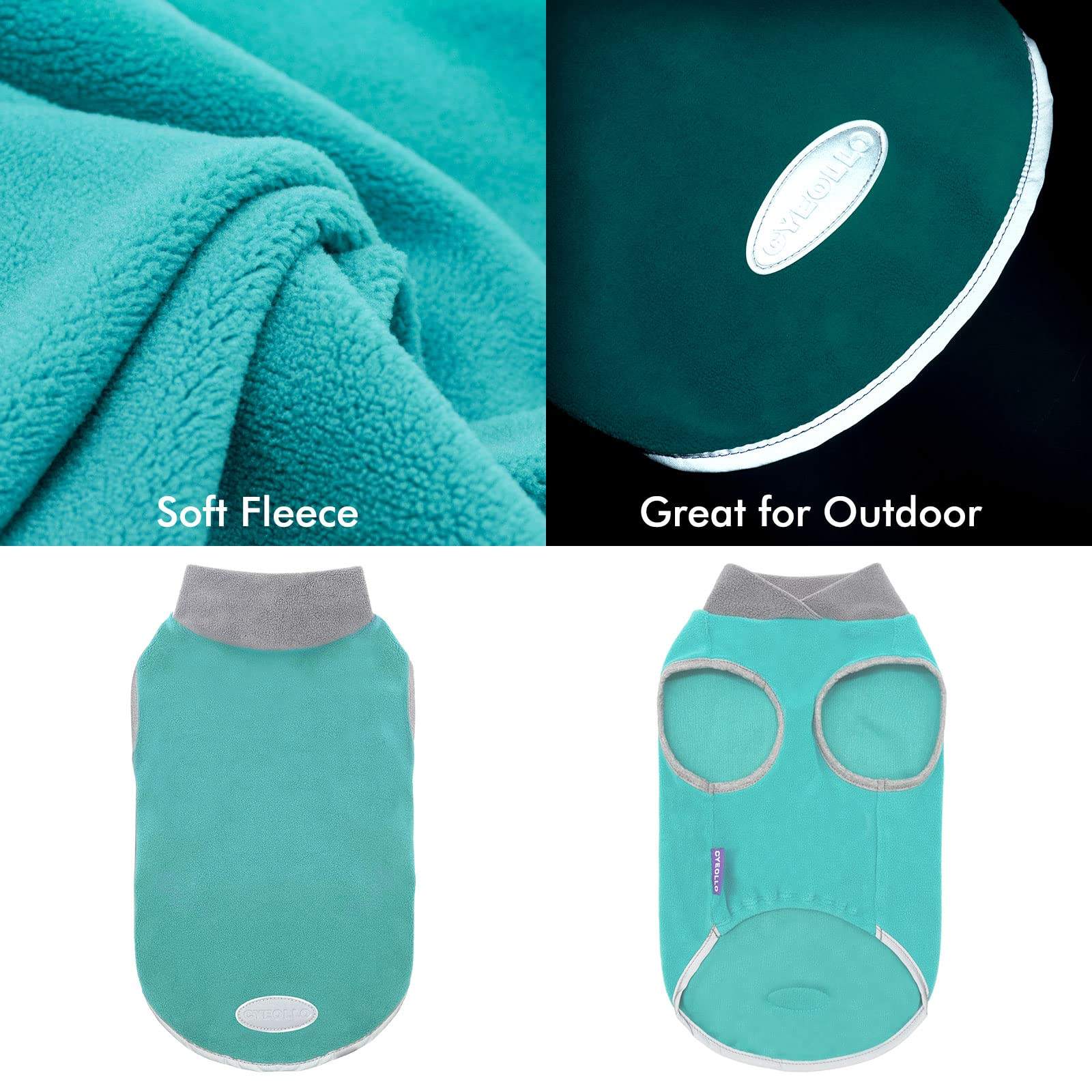 นกเป็ดน้ำและสีเทา