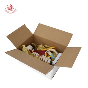 Human Cervical Vertebra Medical Model Advanced 1:1 Muscled and <strong>Nerve</strong> - Product Image 6