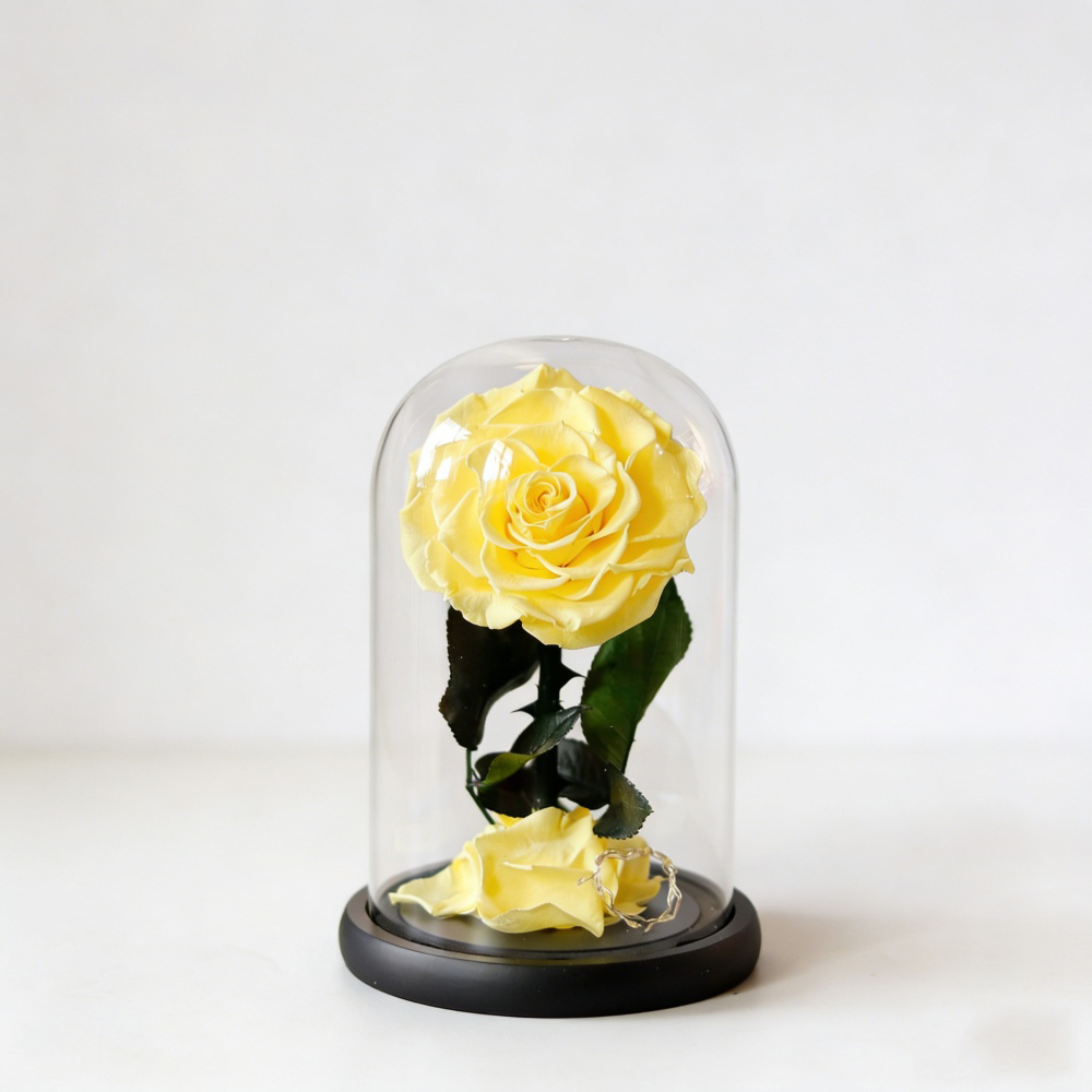 Giallo 12*20