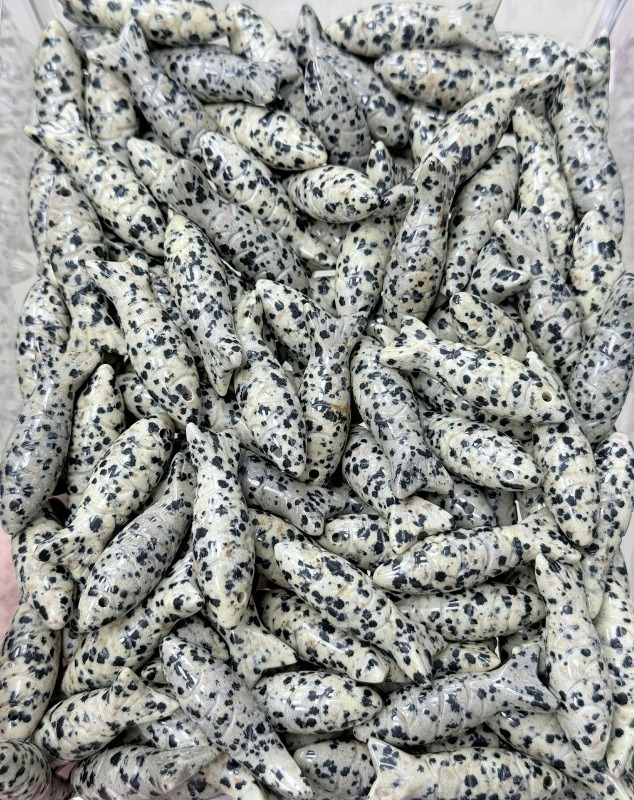 black dalmation jasper9