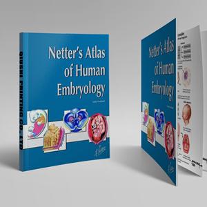 नेटर का मानव भ्रूण विज्ञान चिकित्सा पाठ्यपुस्तक मुद्रण छोटे मोक सीविंग बाध्यकारी - Product Image 5
