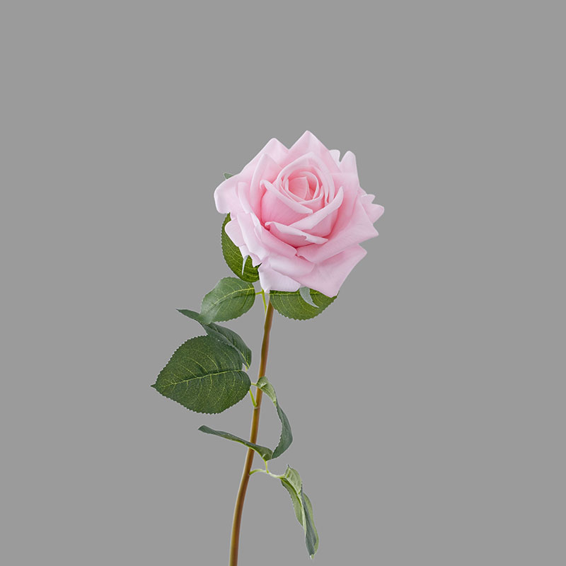 Rose foncé