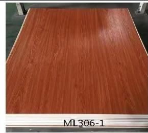 ML306-1