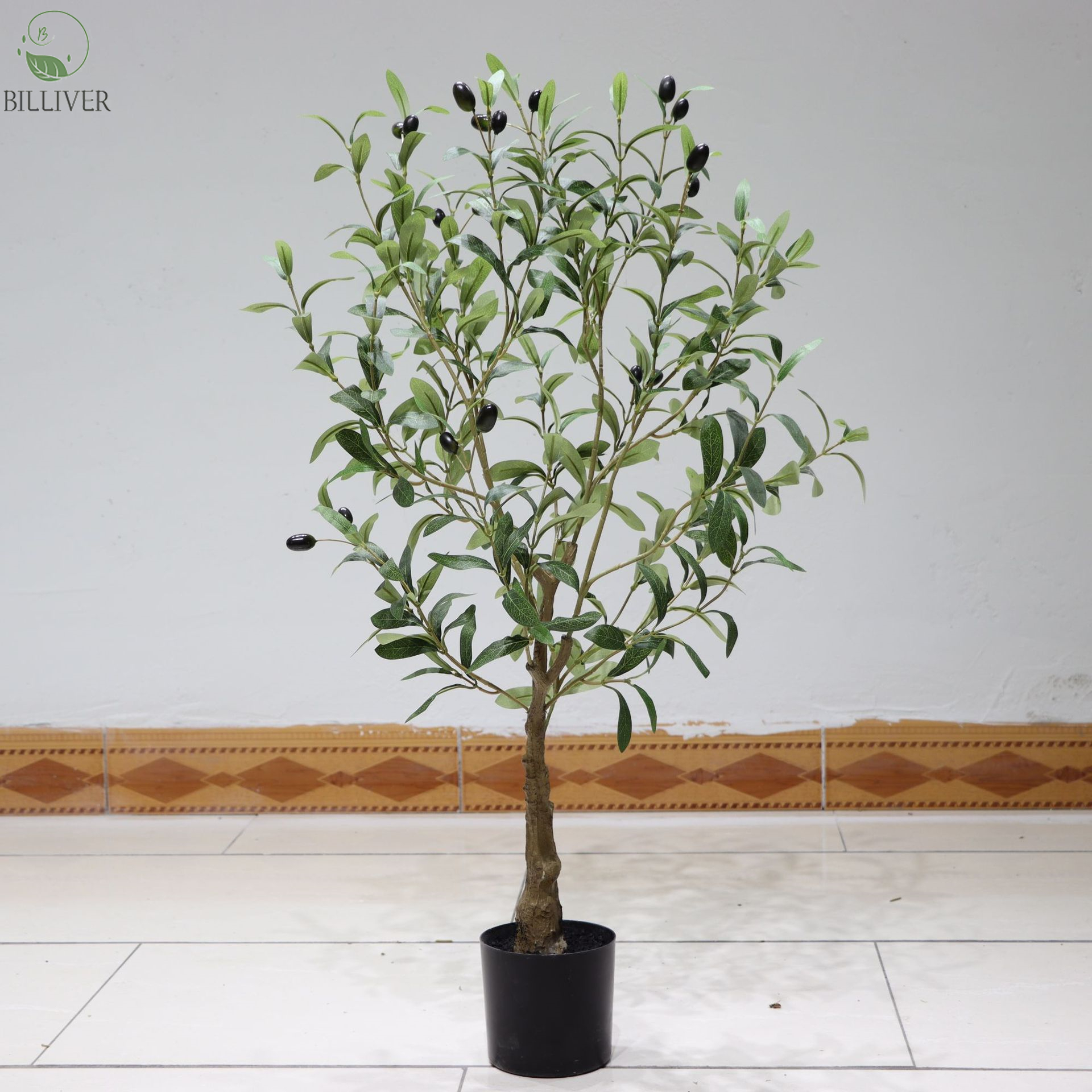 Olive0.9M