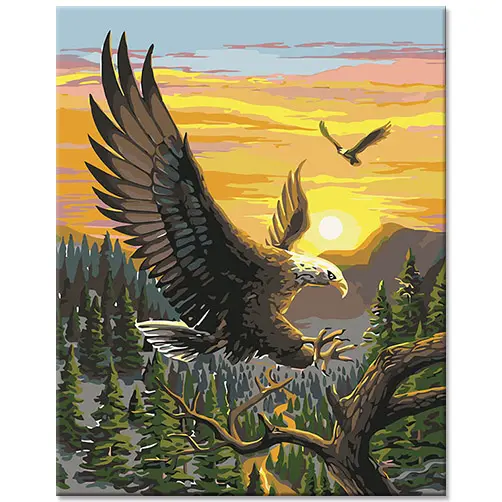 Animal Eagle Picture Colorful Artwork pittura fai da te con i numeri kit Canvas Animals pittura a olio con i numeri