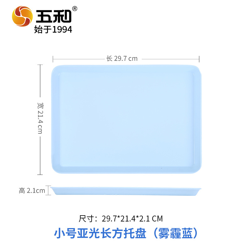 Small matte rectangular tray 4036C (dusty blue)