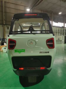 Good <strong>Price</strong> 3-Wheel Electric Tricycle New Energy Vehicle E-Trike 1000W 60V Cargo Passenger Closed <strong>EEC</strong> Certified Electric Car