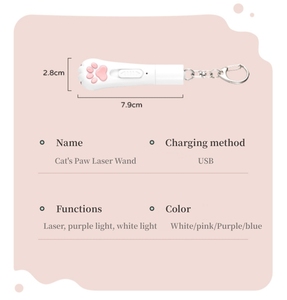USB-Aufladung Umwelt freundliches PET-Katzen lasers pielzeug Multifunktion ales interaktives LED-Licht Schlüssel bund 5 Muster Cat-Teasing-Laserpointer - Product Image 4
