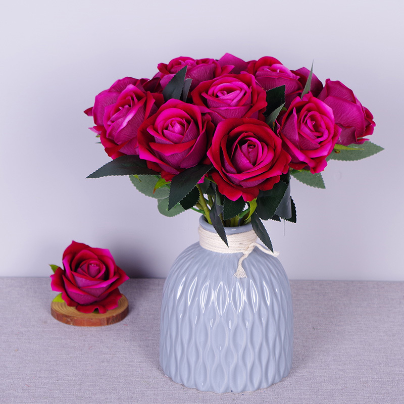 Fuchsia
