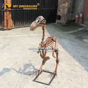 Z ה Dino שלי כמו-056 להציג מוזיאון פיברגלס בעל חיים דודו