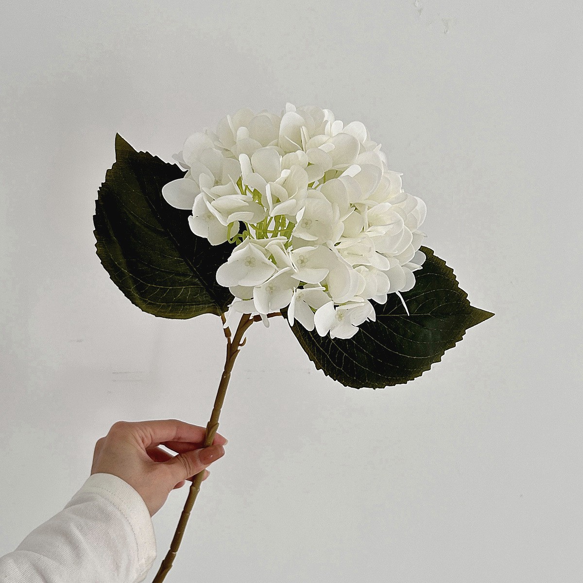 otoño blanco