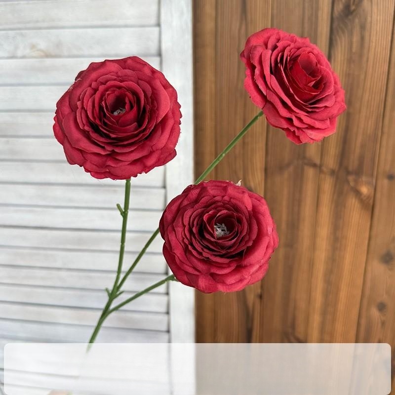 bulle rose
