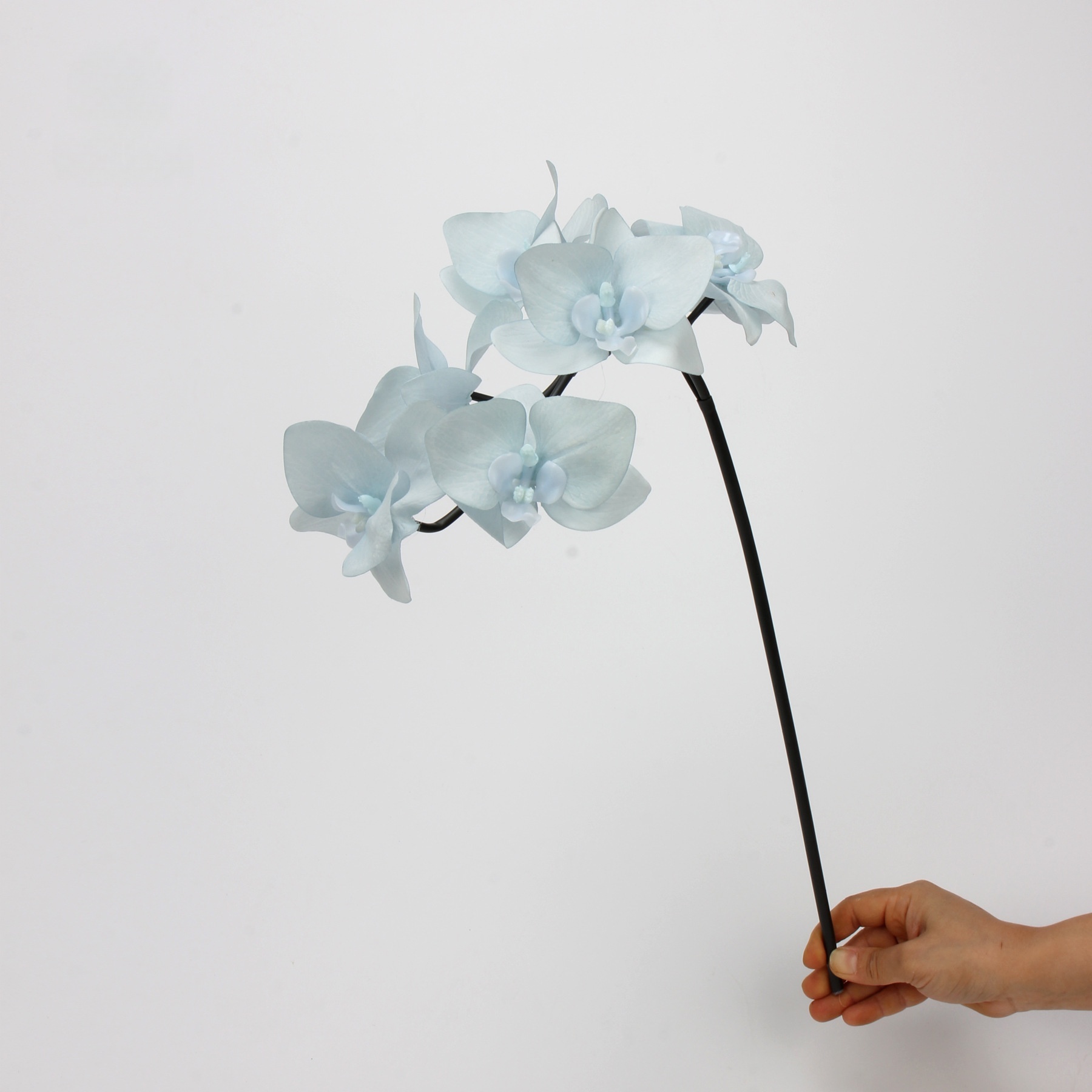Azzurro di cielo