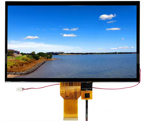 Personalizado 10,1 pulgadas 1024x600 IPS TFT LCD Módulo Pantalla RGB /LVDS Interfaz para aplicaciones industriales - Product Image 4