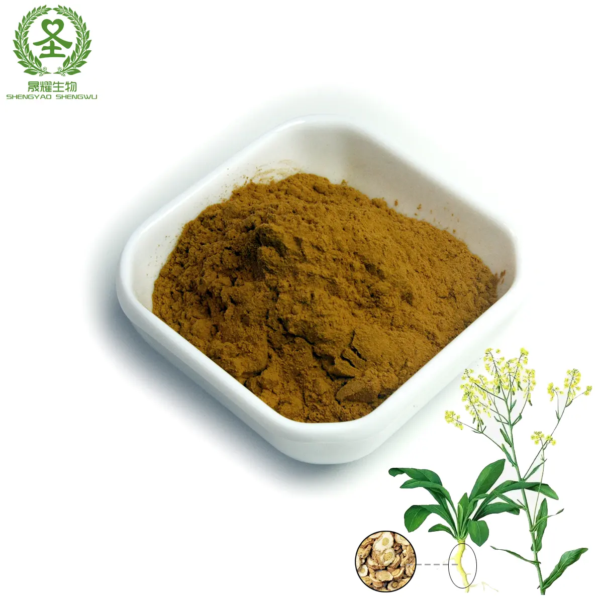 Chinese factory supply isatis root extract powder 6:1\10:1\20:1 Indigowoad Root Radix Isatidis powder