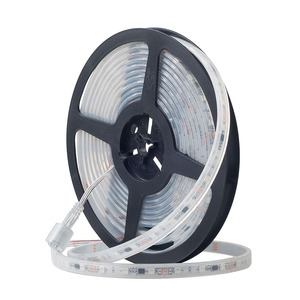 WS2813 WS2815 WS2811 WS2812B RGB Individuell adressierbarer LED-Streifen DC5V DC12V