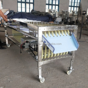 Muti-function automatico Sorter di patate di frutta fresca smistamento di datteri rossi linea di produzione di selezione di noci - Product Image 5