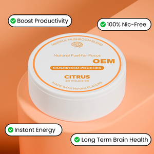 Năng lượng nootropic thông minh tập trung Nấm Thảo Dược túi không calo VIGO OEM nhãn hiệu riêng caffeine miễn phí Túi Nicotine miễn phí - Product Image 6