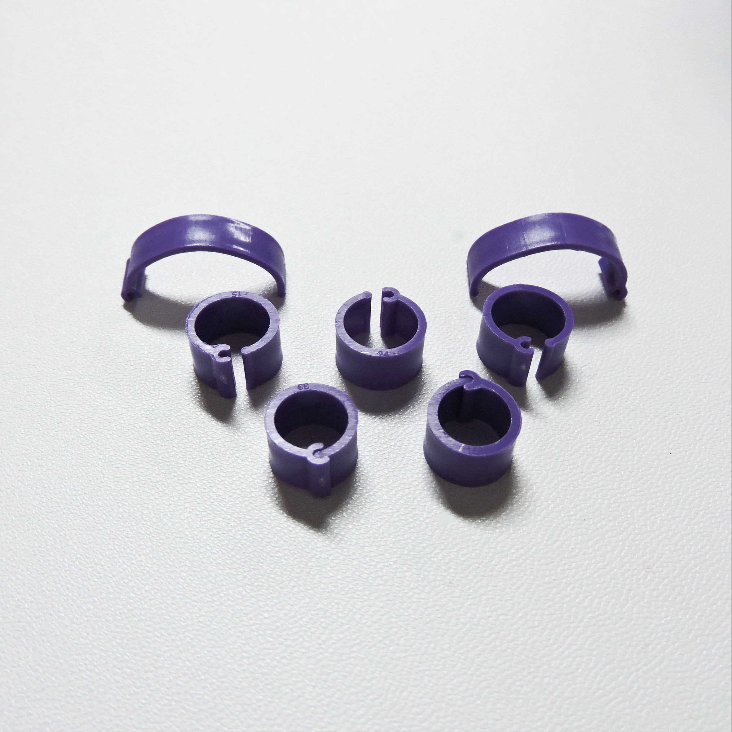 Pourpre