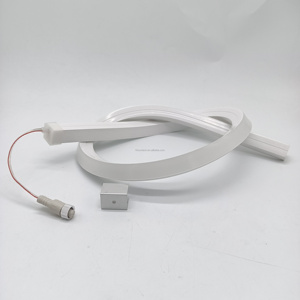 ספי dmx ניתן לשלוט על ספי dmx 20 מ "מ 4-ב-1 ip67 אור ניאון לתאורה דקורטיבית