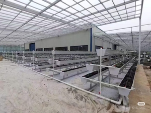 Yüksek kaliteli prefabrik çelik yapı Shantytown yenileme tarım evleri ve tavuk ve sığır tutuyor - Product Image 3