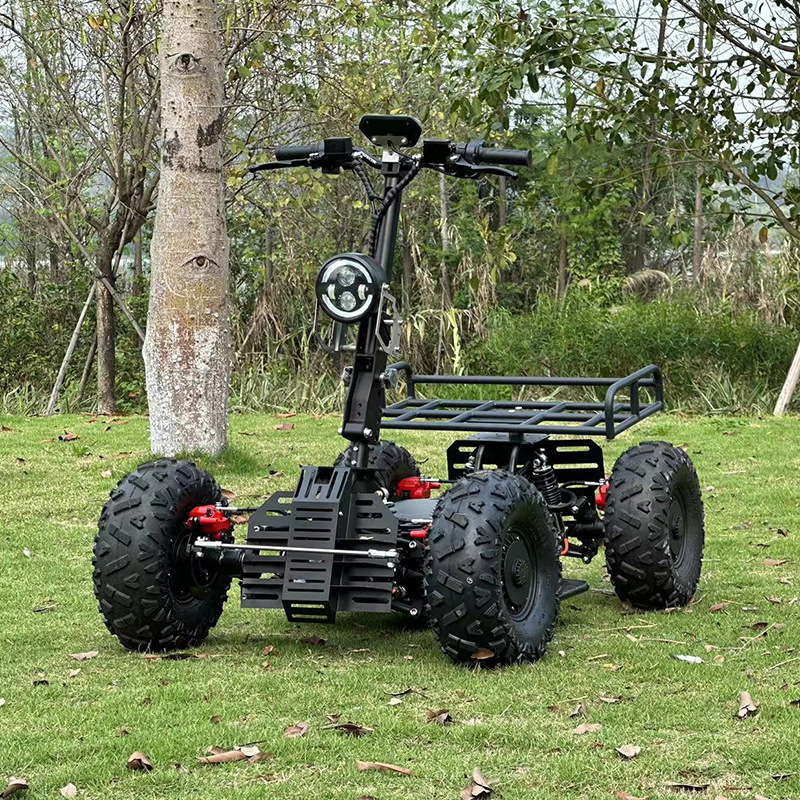 3600W 48V Tracción Trasera / Motor de 14 pulgadas