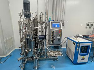 Biyogaz reaktörü lab fermenter biyoreaktör yosun yetiştirme otomatik fermantasyon kutusu 10L - Product Image 5