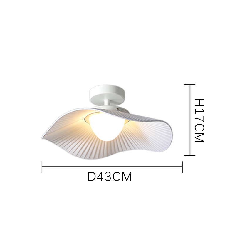 D43cm