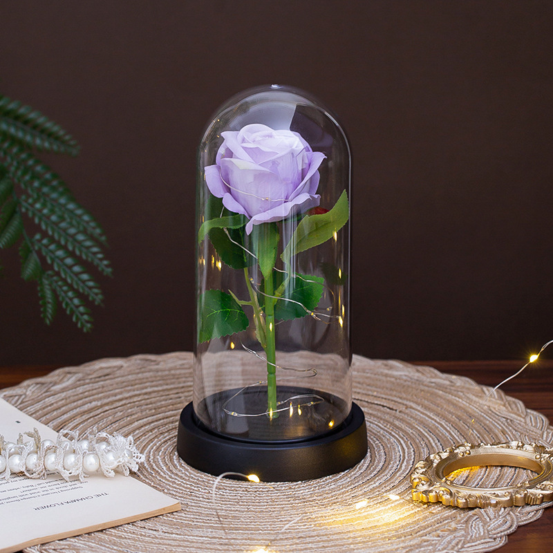 Base en plastique violet-8