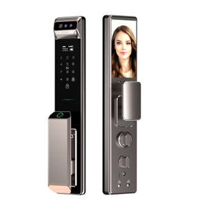 Tuya Smart serrature per porte a basso prezzo impermeabile porta d'ingresso elettronica con codice biometrico per impronte digitali App accesso per uso domestico