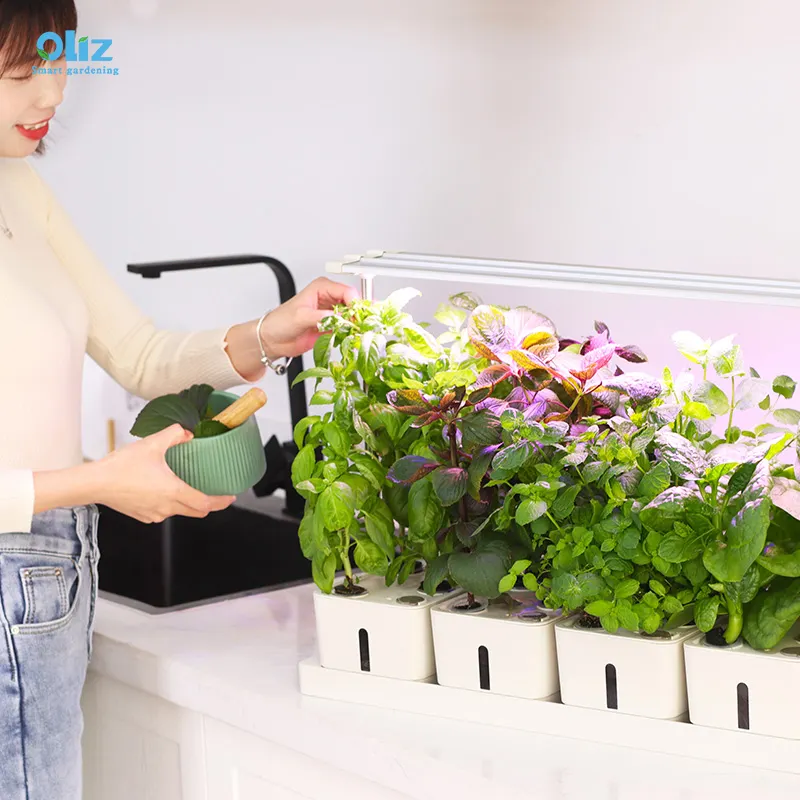 Oliz Z306 jardinières de légumes intérieures en fibre de verre, boîte de plantes artificielles, pot de fleur en plastique à arrosage automatique