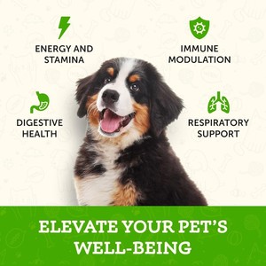 Toptan fiyat desteği köpekler ve kediler bağışıklık sistemi türkiye kuyruk mantar takviyesi evcil hayvanlar için - Product Image 3