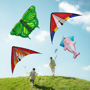 <strong>Chinese</strong> New Cheap butterfly Simulation <strong>Kites</strong> Flying Large Plastic <strong>Kite</strong> Duotone Outdoor Sports Toys