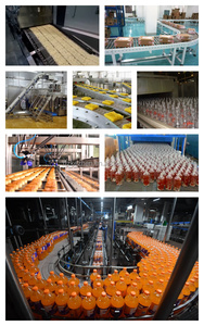 制造厂食品用不锈钢输送机提升机爬网链厂家直销 - Product Image 6