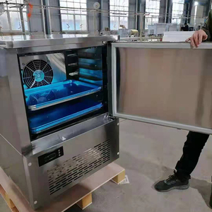 בינוני זקוף לעמוד למעלה במכירת מחיר תעשייתי אנכי צלחת ארון קרח צלחת בלוק קרח עבור דגים ועוף
