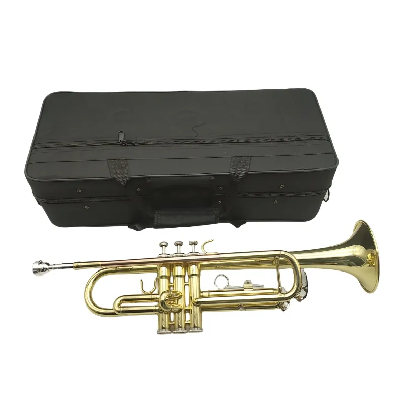 Best Selling Alta Qualidade Iniciante Golden Brass Tube Trompete Grande Diâmetro Trompete