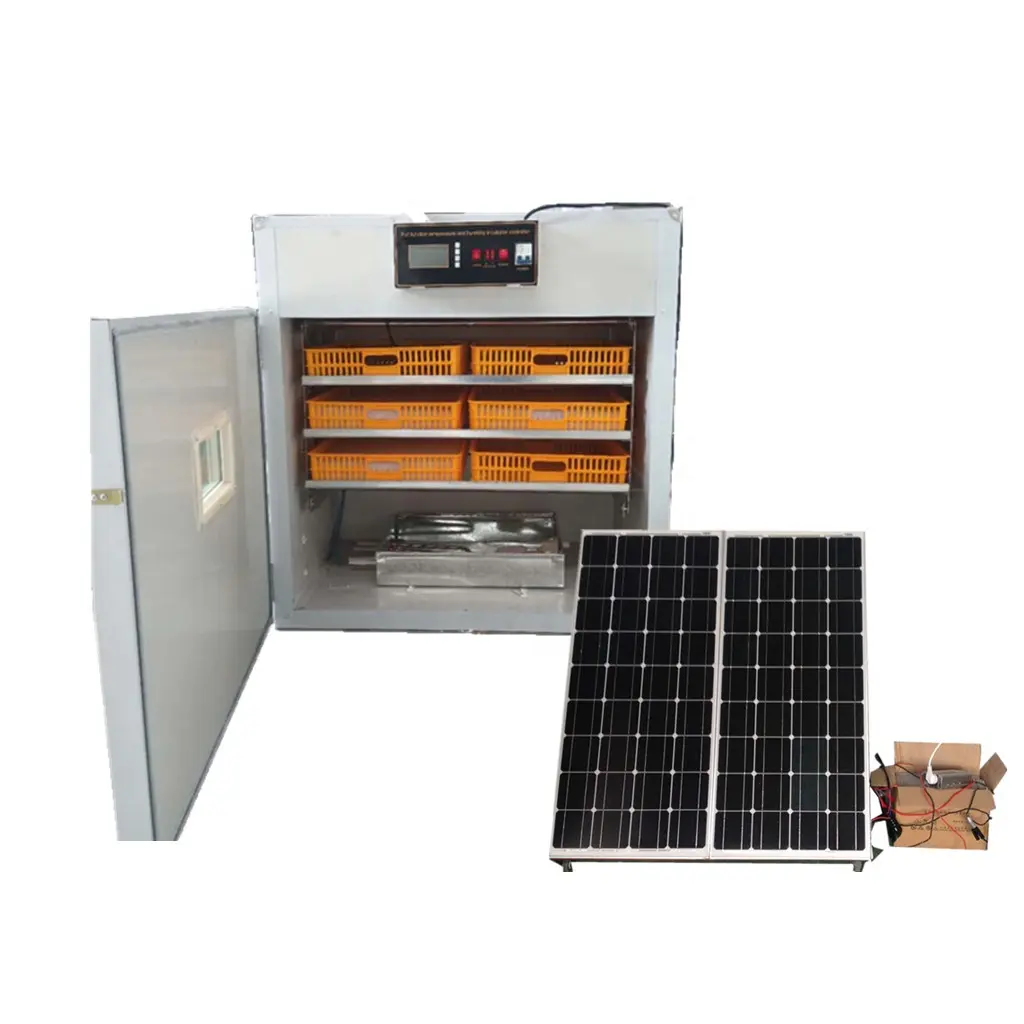 110-240V Ac 528 pollo uovo capacità incubatori solari con pannelli solari