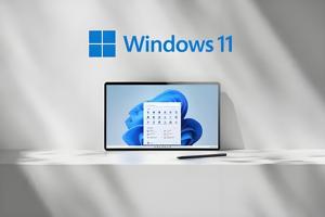 Win 11 Pro OEM anahtar 1 adet [etiket] - Product Image 3