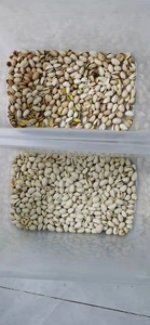 希腊开心果果仁色选机全彩CCD相机色选机开心果果仁分离 - Product Image 5