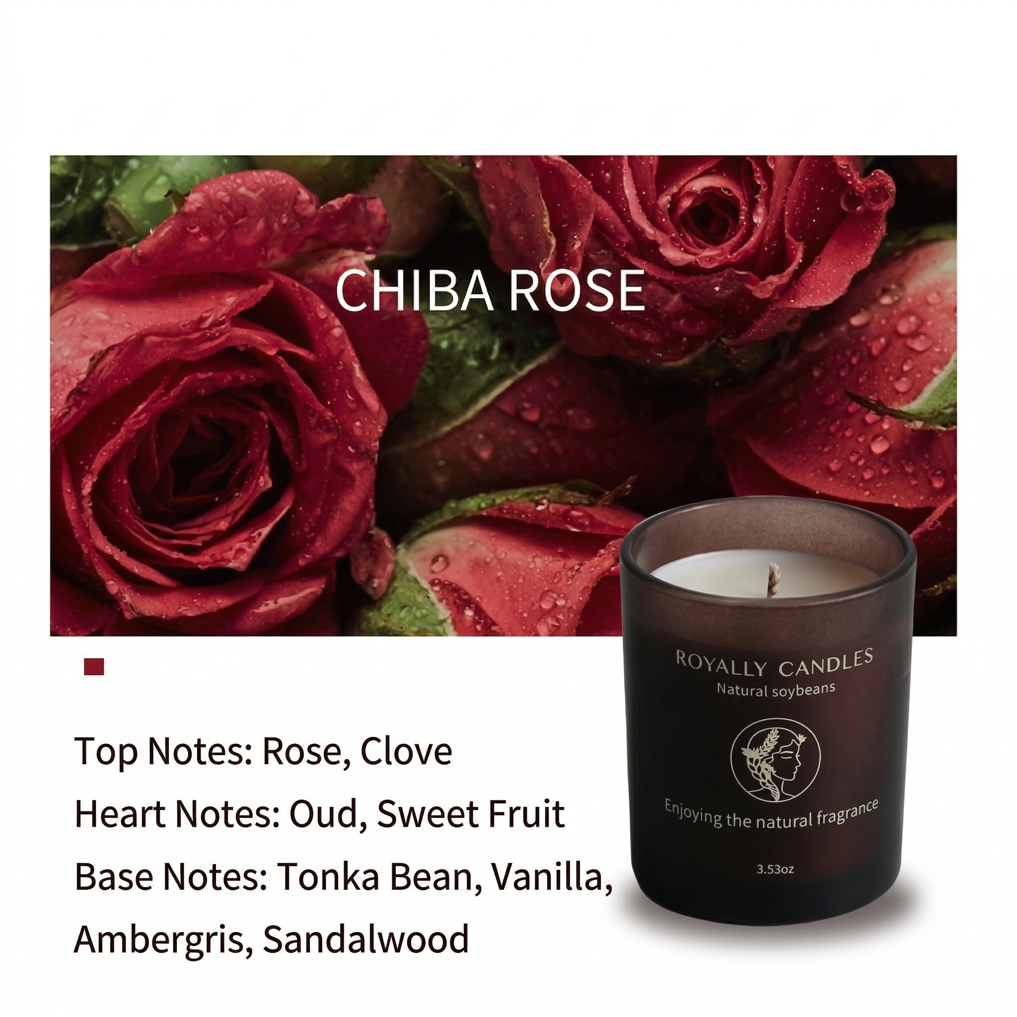 Centifolia rose 100g