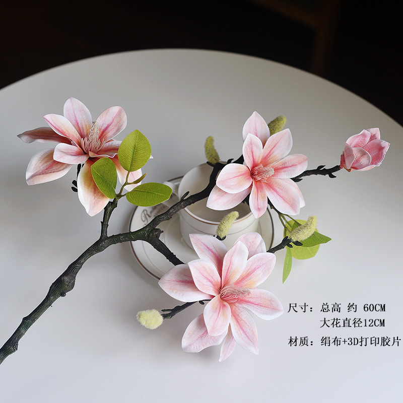 Magnolia color champán 1